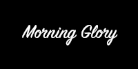 Morning Glory